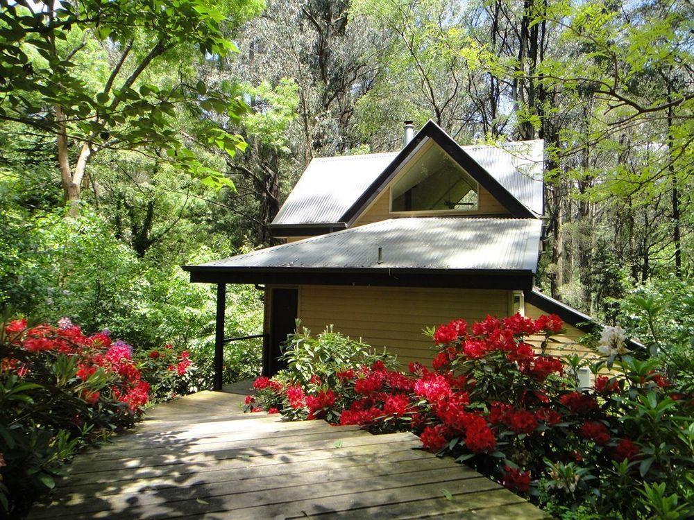 Lochiel Luxury Accommodation Olinda Bagian luar foto