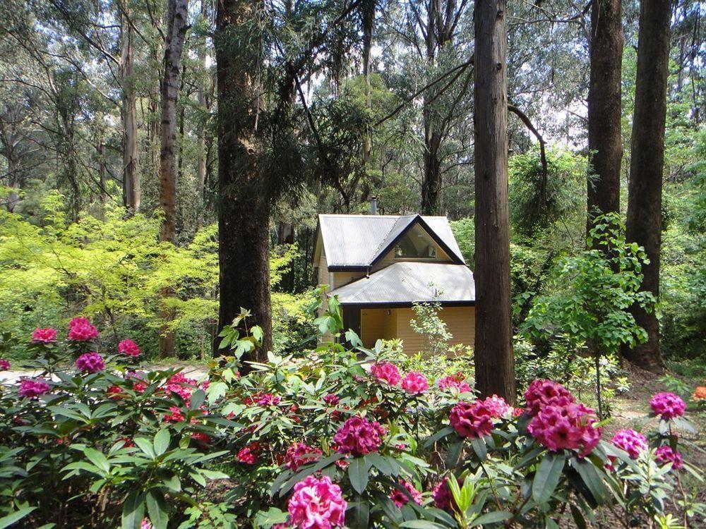 Lochiel Luxury Accommodation Olinda Bagian luar foto