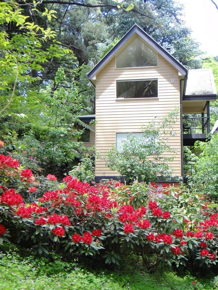 Lochiel Luxury Accommodation Olinda Bagian luar foto