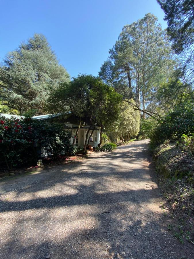 Lochiel Luxury Accommodation Olinda Bagian luar foto