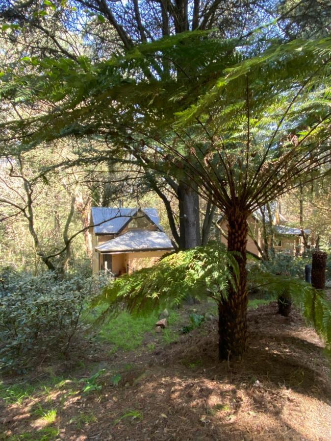 Lochiel Luxury Accommodation Olinda Bagian luar foto